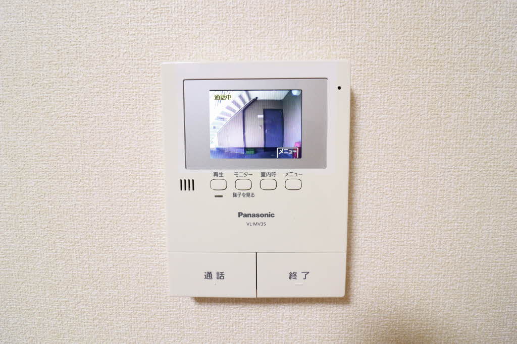 ハイビスカスＣ 0102号-11