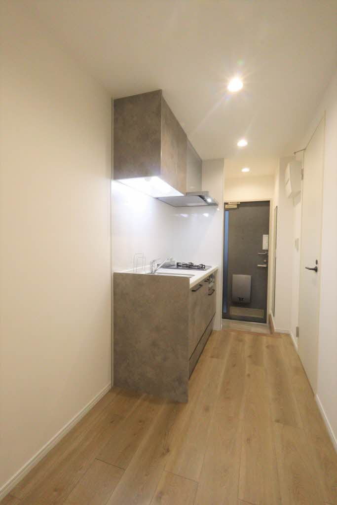 ドミール 0201号-3