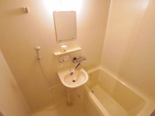 ナチュレ一幸Ⅰ 0206号-11