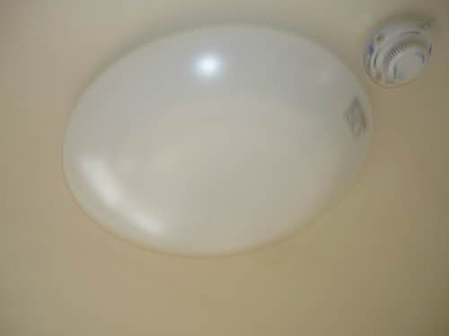 フォーレスＹＯＵ B201号-15