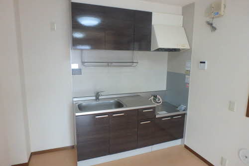 ザリーヤ B202号-6