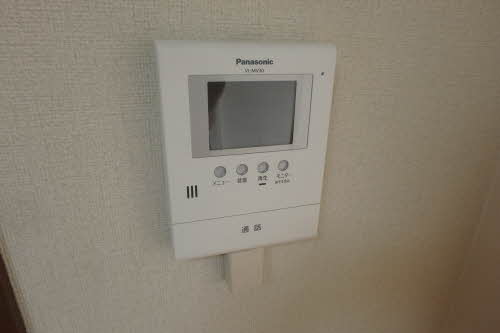 ザリーヤ B202号-11