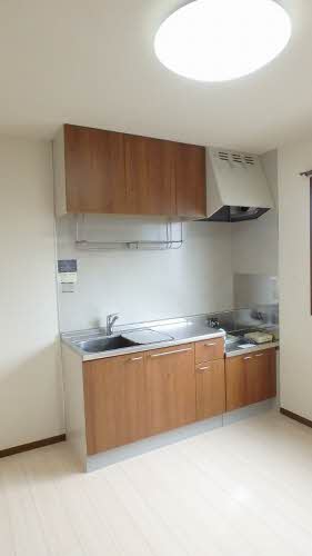 ザリーヤ C102号-10