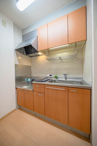 Ｚｅｈｎ 0103号-8