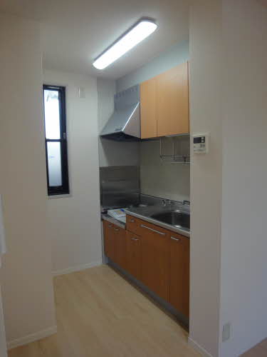 Ｚｅｈｎ 0203号-5