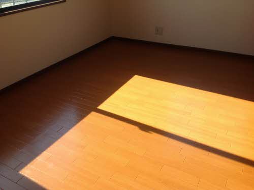 ラプランタン 0103号-5