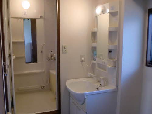 ラプランタン 0203号-4