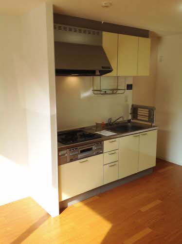 ｆｉｒｓｔ　ｒｏａｄ　ｈｉｒａｒｉ 0102号-9