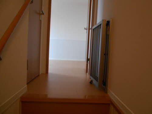 Ｃｉｔｒｕｓ福井新 0201号-5