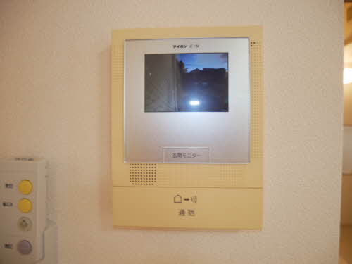 カラー クインテット 0201号-10