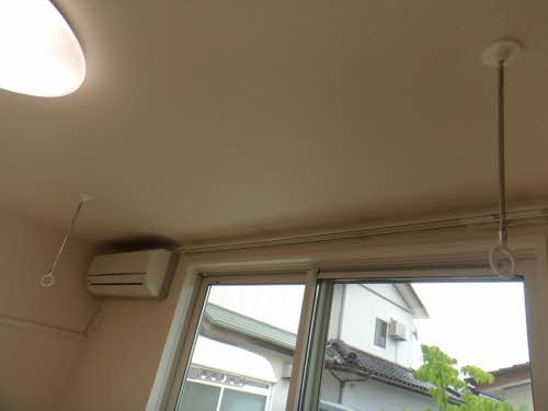 ミュアミュール 0103号-5