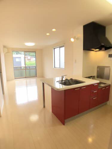 ドミール片西 0203号-3