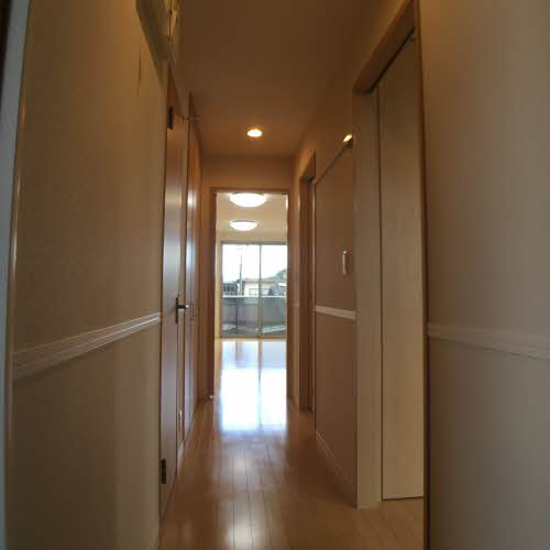 グローバル 0203号-3