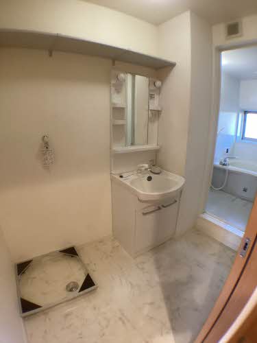 Ｌｅ　Ｐｒｕｎｉｅｒ A201号-6