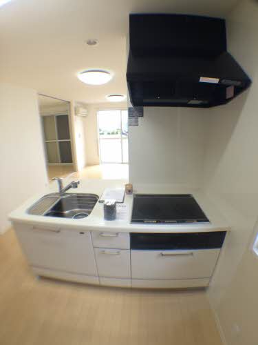 プランドール 0203号-3