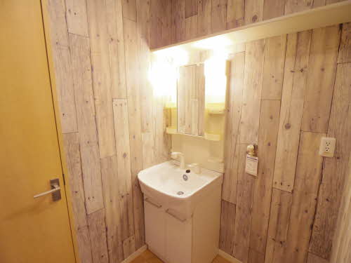 ルミエール富吉 B101号-13