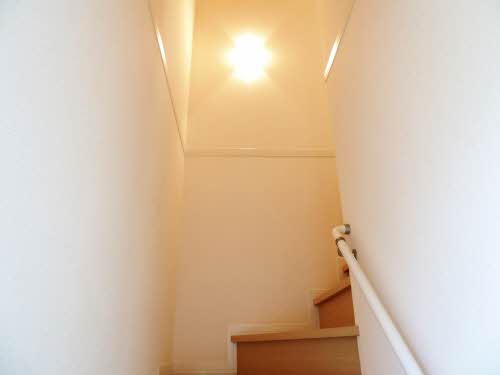 Ｄｕ　ｈｏｒｎ 0201号-7