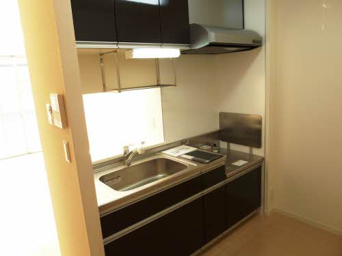 Ｄｕ　ｈｏｒｎ 0201号-13