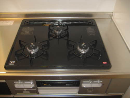 Ｎｏｒｔｈ　Ｖｉｌｌａ　芳野 0302号-10