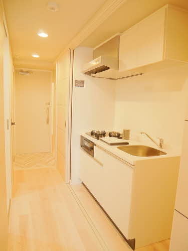 プレスタンテＫ．Ｓ 0204号-4