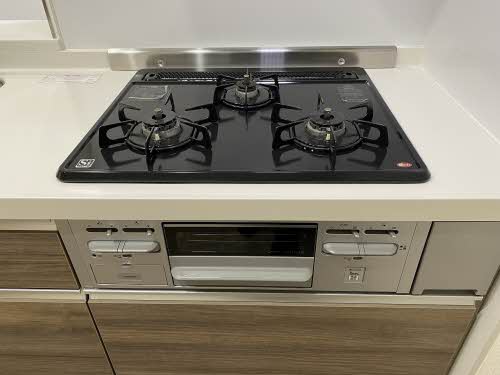 Ｓｈａｍａｉｓｏｎ　ＢｅｌＶｉｅ 0302号-15