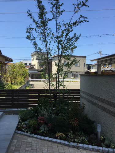 アムレット 0201号-8