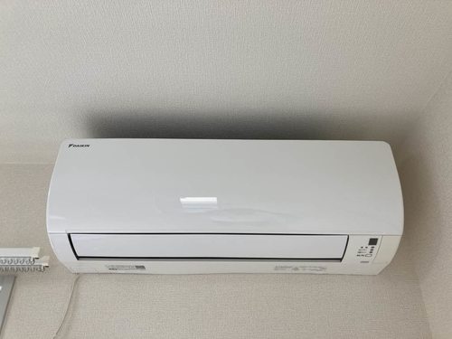 その他画像11