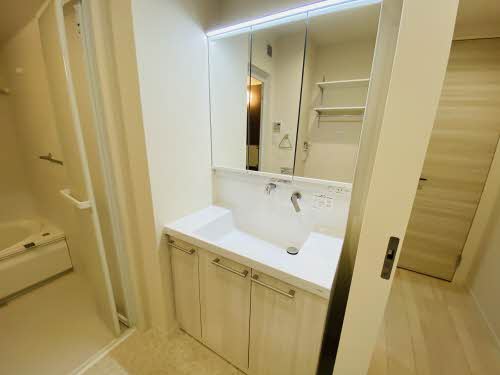 ミグランスⅡ 0201号-8