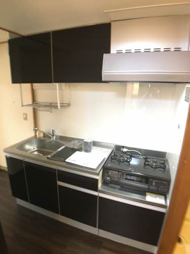 スワンルーム 0202号-4