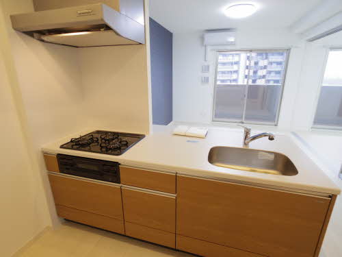 Ｒｅｇｉｏ　Ｌｉｖｉｅ 1102号-8