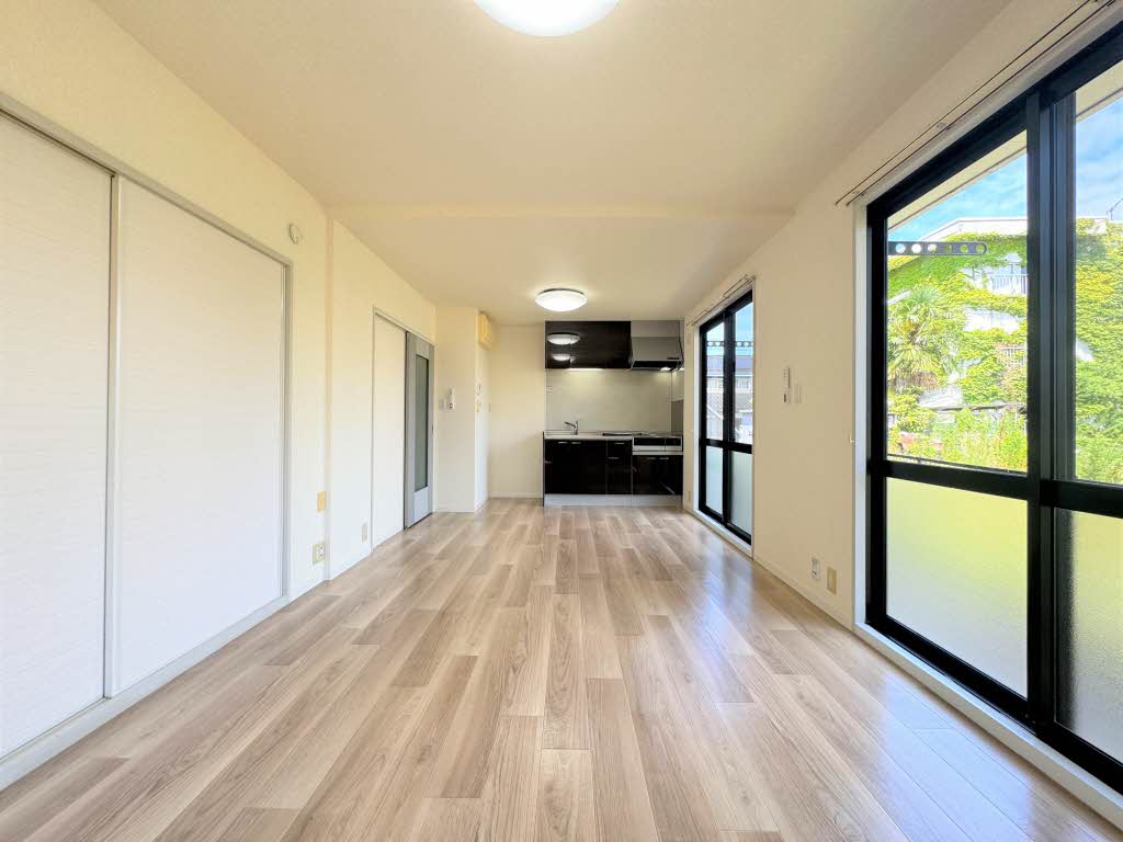 ディアス　ベル　フエーベ 0101号-2