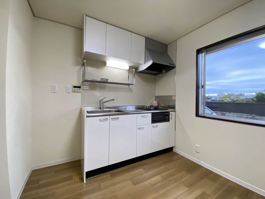 ロワイムクリサンセーム 0101号-3