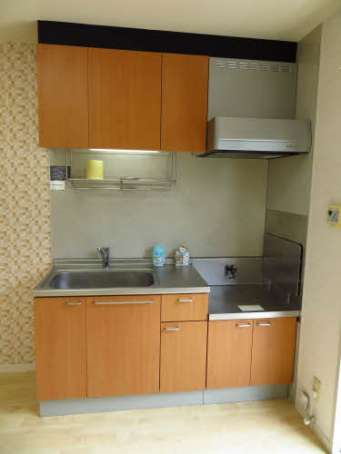 グリーンヴィラ 0203号-6