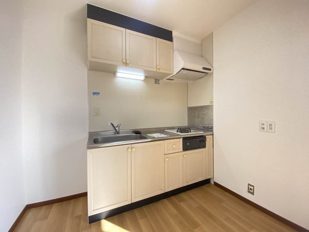 プランシェバラキ B203号-4