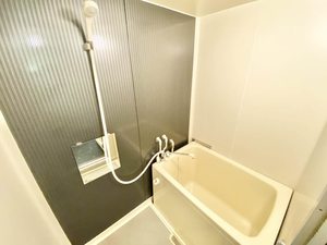 タウニイエード B102号-11