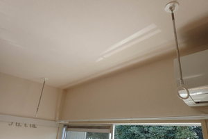 ステップ１長良 0203号-8