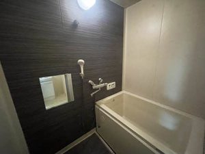 グリーンハイツ新田 0103号-11