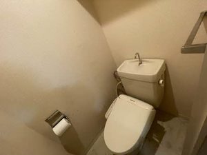 グリーンハイツ新田 0103号-12