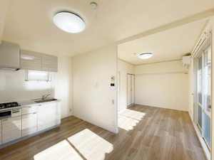 ドルムヤスイ 0201号-3