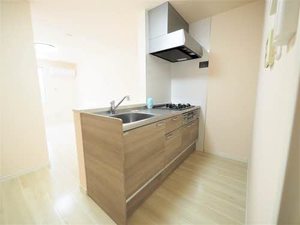 ハイネス神沢 0102号-7