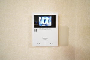 コスモハイツ 0101号-13