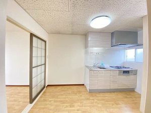 チェリーハウス 0201号-3