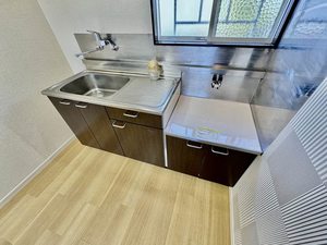 ヴィサージュ安東 0202号-4