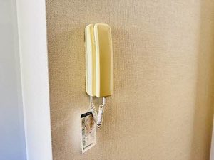 ディアスパルテール 0105号-10