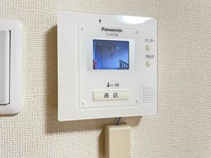 ディアス関分 0201号-11