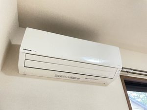 ディアス関分 0201号-12