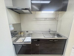 メゾン・アイリス B101号-6