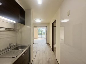 メゾン・アイリス B101号-7