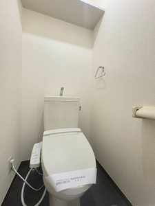 メゾン・アイリス B101号-14