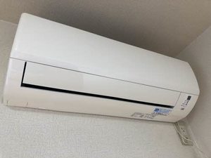 ヒルズ桜ヶ丘 0106号-11